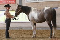 22-APHA HTB_056